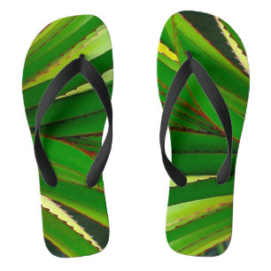 Nahaufnahme von Schraubenpalme Flip Flops