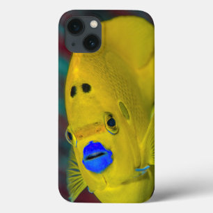 Nahaufnahme von Skalaren Case-Mate iPhone Hülle