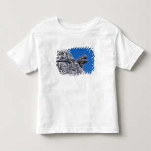 Nahaufnahme von Steinen, die ein altes Mayabauwerk Kleinkind T-shirt