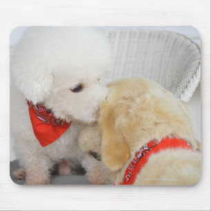 Nahaufnahme von zwei Hunden Mousepad