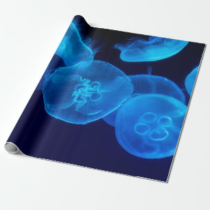 Nahaufnahmefotografie eines Schwarms von Quallen Geschenkpapier