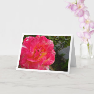 Nahaufnahmeporträt einer rosa Rose Karte