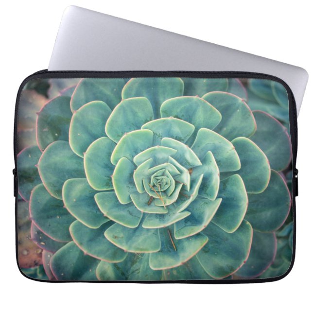 NahaufnahmeSucculent Laptopschutzhülle (Vorderseite)