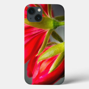 Nahe Anreicherung von Geranrückständen aus Blume Case-Mate iPhone Hülle