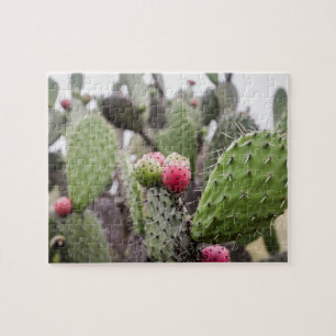 Nahe Ansammlung von Kakteen Puzzle