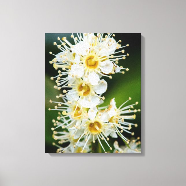 Nahe Ansammlung winziger Blume Leinwanddruck (Vorderseite)