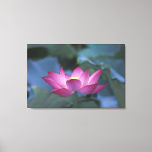 Nahe Aufbereitung von Rot-Lotus-Blume und grünen  Leinwanddruck