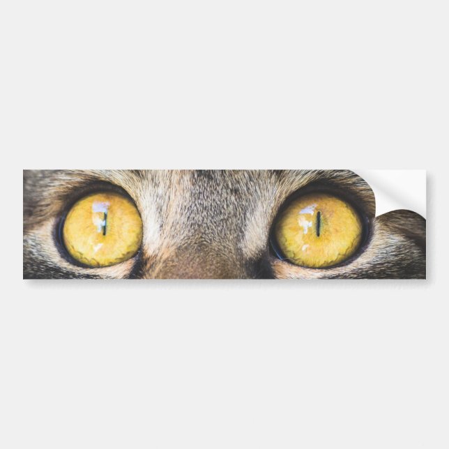 Nahe Aufnahme von Katze mit GelbAugen Autoaufkleber (Vorne)