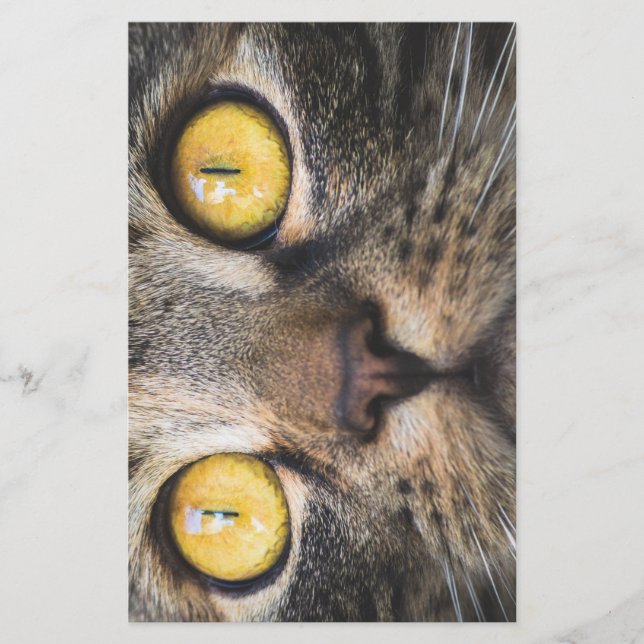 Nahe Aufnahme von Katze mit GelbAugen Briefpapier (Vorderseite)