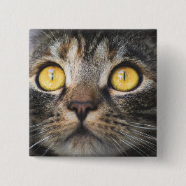 Nahe Aufnahme von Katze mit GelbAugen Button