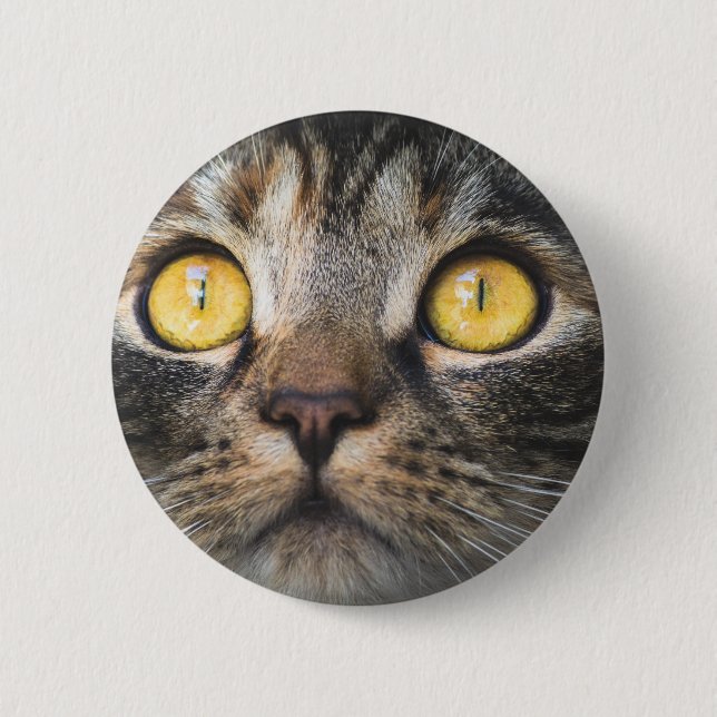 Nahe Aufnahme von Katze mit GelbAugen Button (Vorderseite)