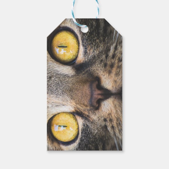 Nahe Aufnahme von Katze mit GelbAugen Geschenkanhänger (Vorderseite)