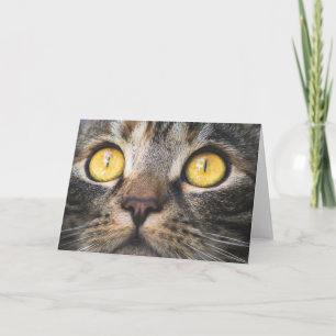 Nahe Aufnahme von Katze mit GelbAugen Karte