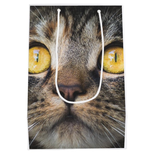 Nahe Aufnahme von Katze mit GelbAugen Mittlere Geschenktüte (Rückseite)