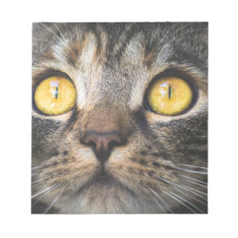 Nahe Aufnahme von Katze mit GelbAugen Notizblock