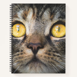 Nahe Aufnahme von Katze mit GelbAugen Notizbuch