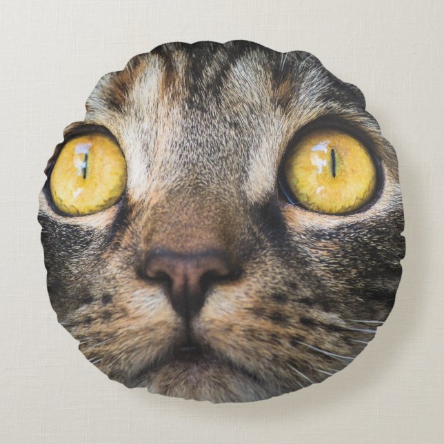 Nahe Aufnahme von Katze mit GelbAugen Rundes Kissen (Vorderseite)