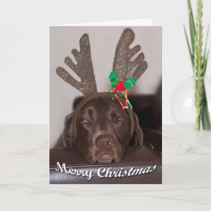 Nahe Aufnahme von Labrador mit Antlerfoto Feiertagskarte