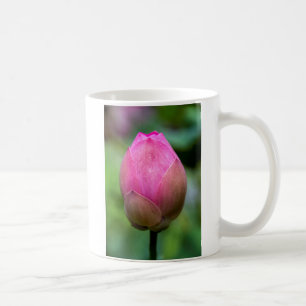 Nahe Aufnahme von Lotus Blume bud, Bali Tasse