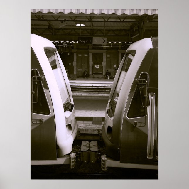 Nahe Aufnahme von zwei Zügen auf Bahnhofsplattform Poster (Vorne)