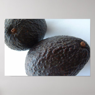 Nahe Avocados Poster