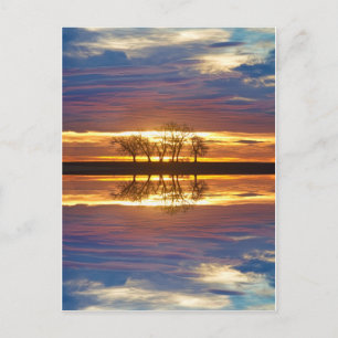 Nahe Begegnungen Zwei Postkarte