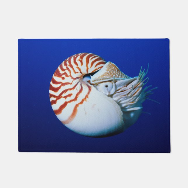 Nahe Bildung von Chambered Nautilus Fußmatte (Vorderseite)