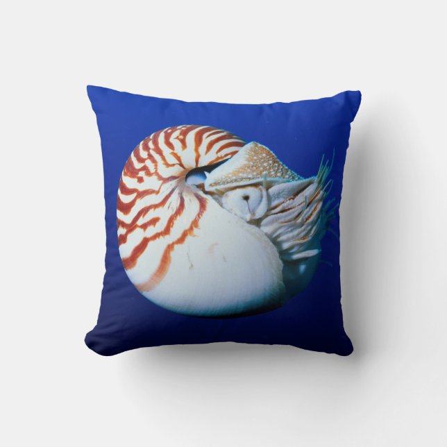 Nahe Bildung von Chambered Nautilus Kissen (Vorderseite)