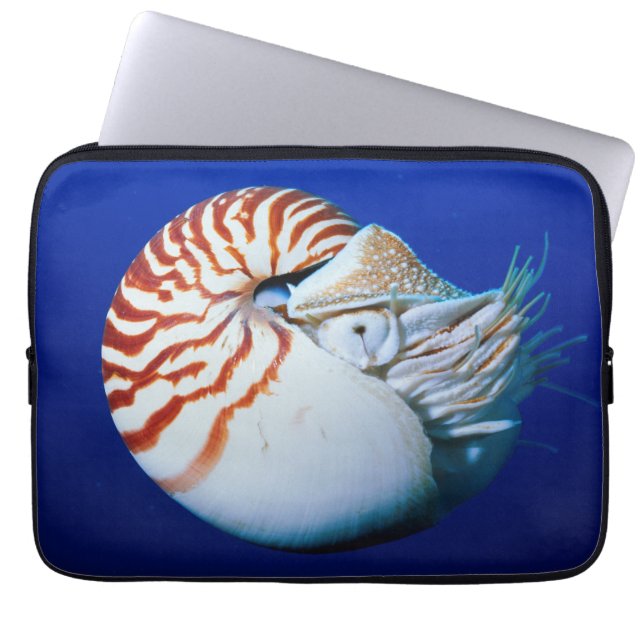 Nahe Bildung von Chambered Nautilus Laptopschutzhülle (Vorderseite)