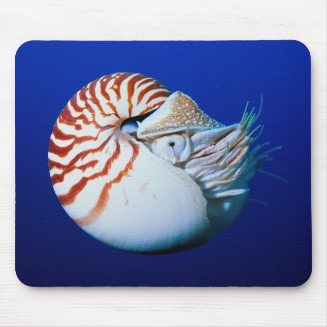 Nahe Bildung von Chambered Nautilus Mousepad (Vorne)