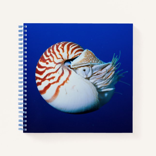 Nahe Bildung von Chambered Nautilus Notizbuch (Vorderseite)