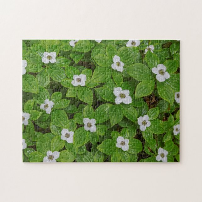 Nahe Brombeere mit weißen Blume Puzzle (Horizontal)