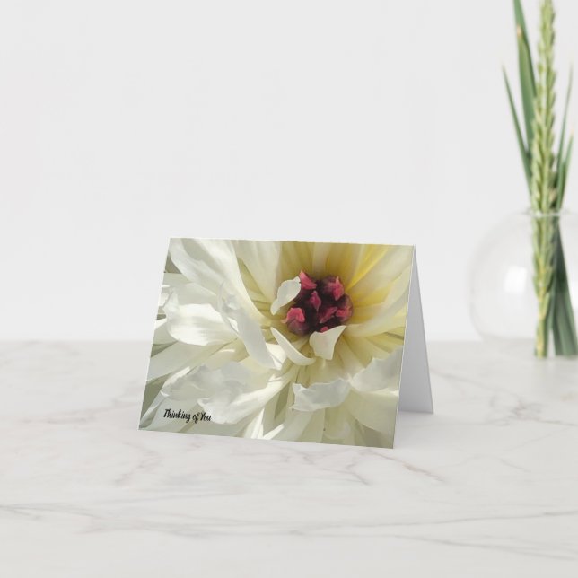 Nahe Creamy White Peony Blume Sympathie Karte (Vorderseite)