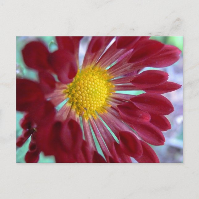 Nahe Dämmerung Postkarte (Vorderseite)