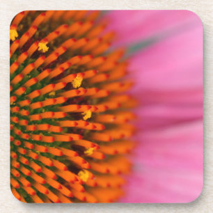 Nahe Einführung einer Kone-Blume im Sommer, Untersetzer