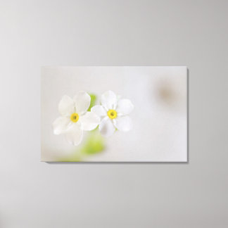 Nahe Erfassung der Blume 2 Leinwanddruck