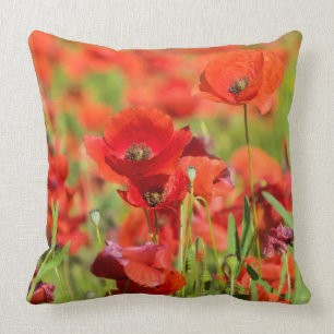 Nahe Errichtung eines Mohnfeldes, Frankreich Kissen