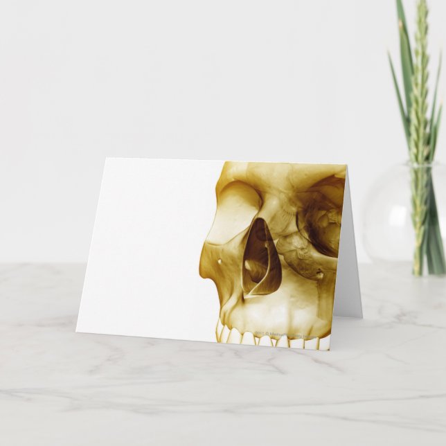 Nahe frontale Sicht des Gehirns im Schädel Karte (Vorderseite)