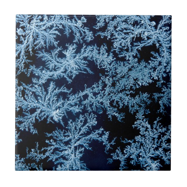 nahe Frostmuster, Kalifornien Fliese (Vorderseite)
