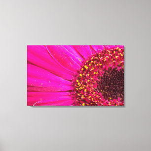 Nahe Gründung einer Gerber-Déisy Leinwanddruck