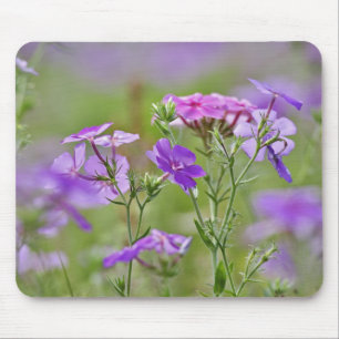 Nahe Gründung von Drummond Phlox, Phlox drummondi Mousepad