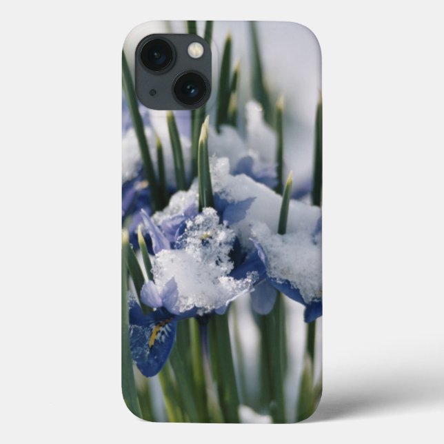 Nahe Gründung von Iris Case-Mate iPhone Hülle (Rückseite)