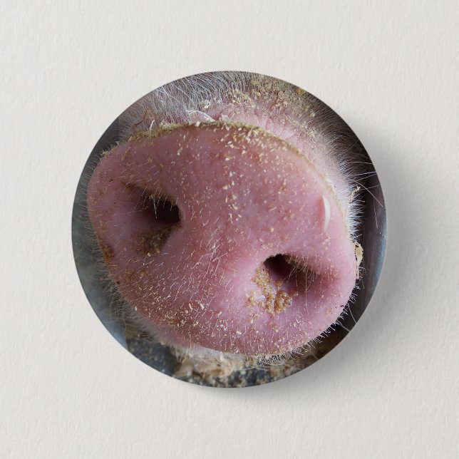 Nahe hohe Fotografie der rosa Schweinnase Button (Vorderseite)