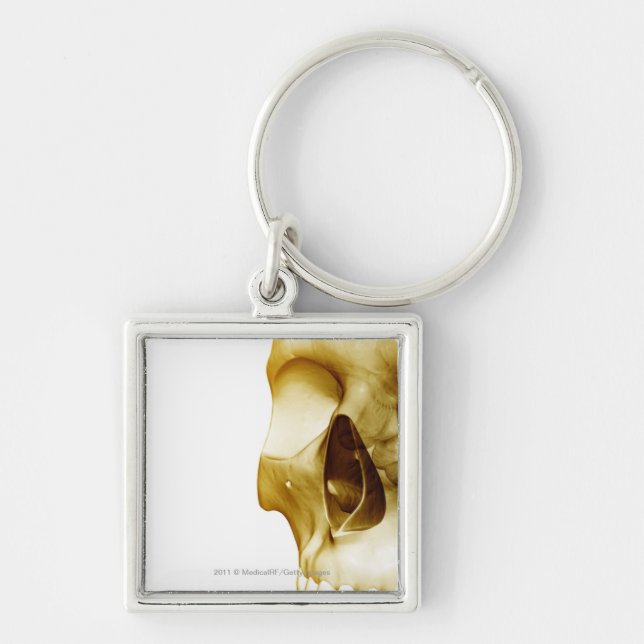 Nahe hohe frontale Ansicht des Gehirns innerhalb Schlüsselanhänger (Vorne)