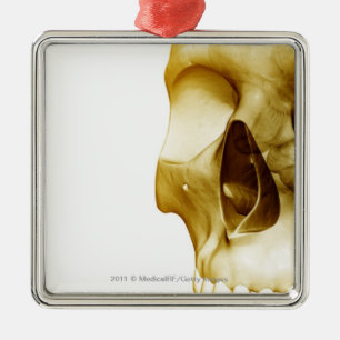 Nahe hohe frontale Ansicht des Gehirns innerhalb Silbernes Ornament