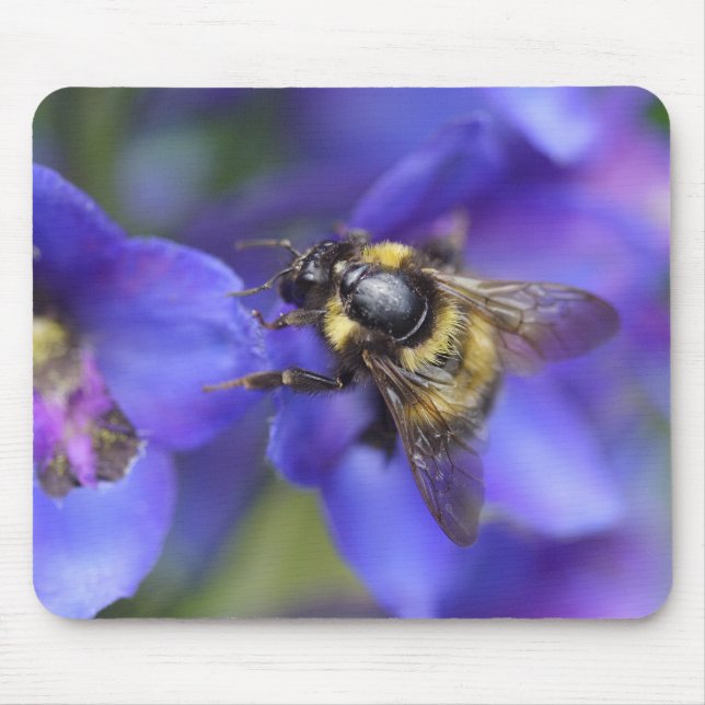 Nahe Hummeln Mousepad (Vorne)