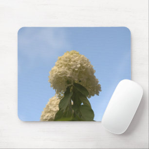 Nahe Limone Hydrangeas, die auf Sky Mousepad zeige