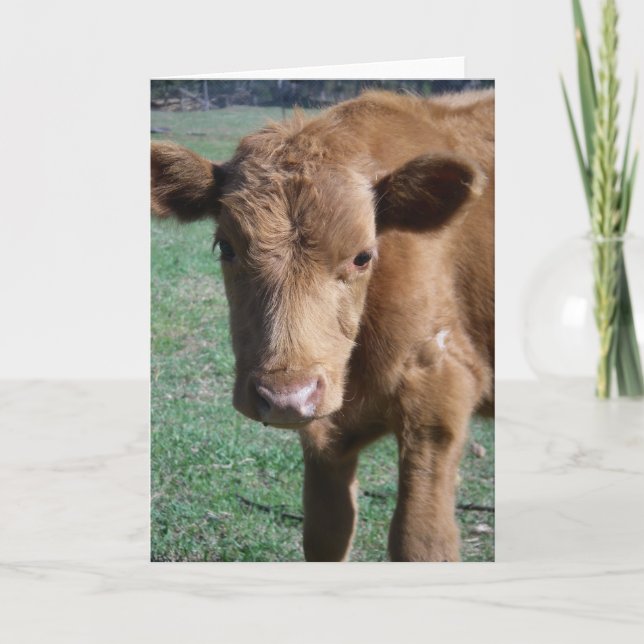 Nahe Niedliche Grußkarte für Kalb Karte (Vorderseite)