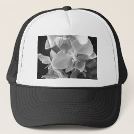 Nahe orchidale Blüten im Graustufen Truckerkappe