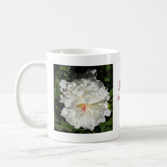 nahe Päonia lactiflora Kaffeetasse (Links)